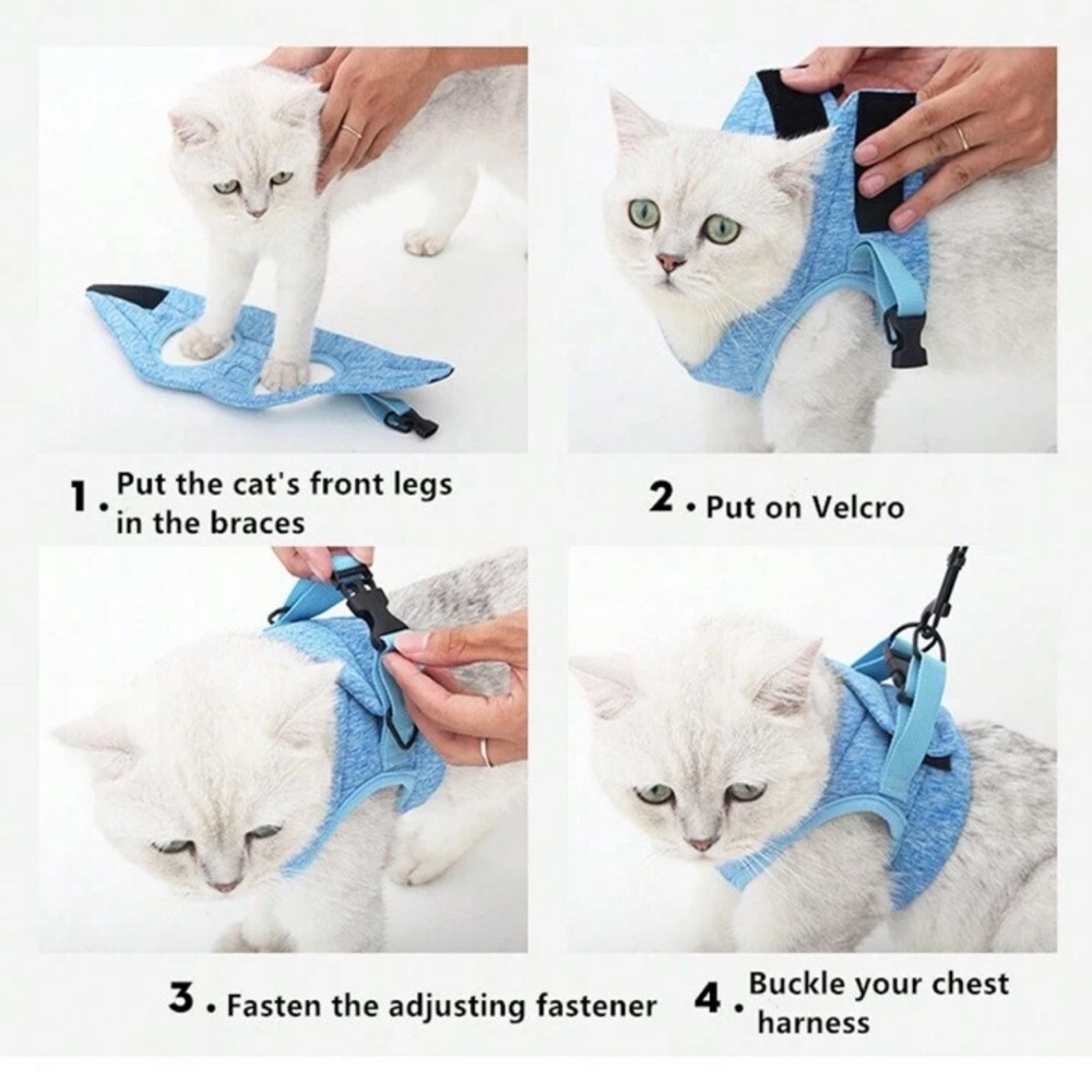 Cat vest and leash or puppy harness